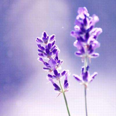 爱游戏·体育APP截图